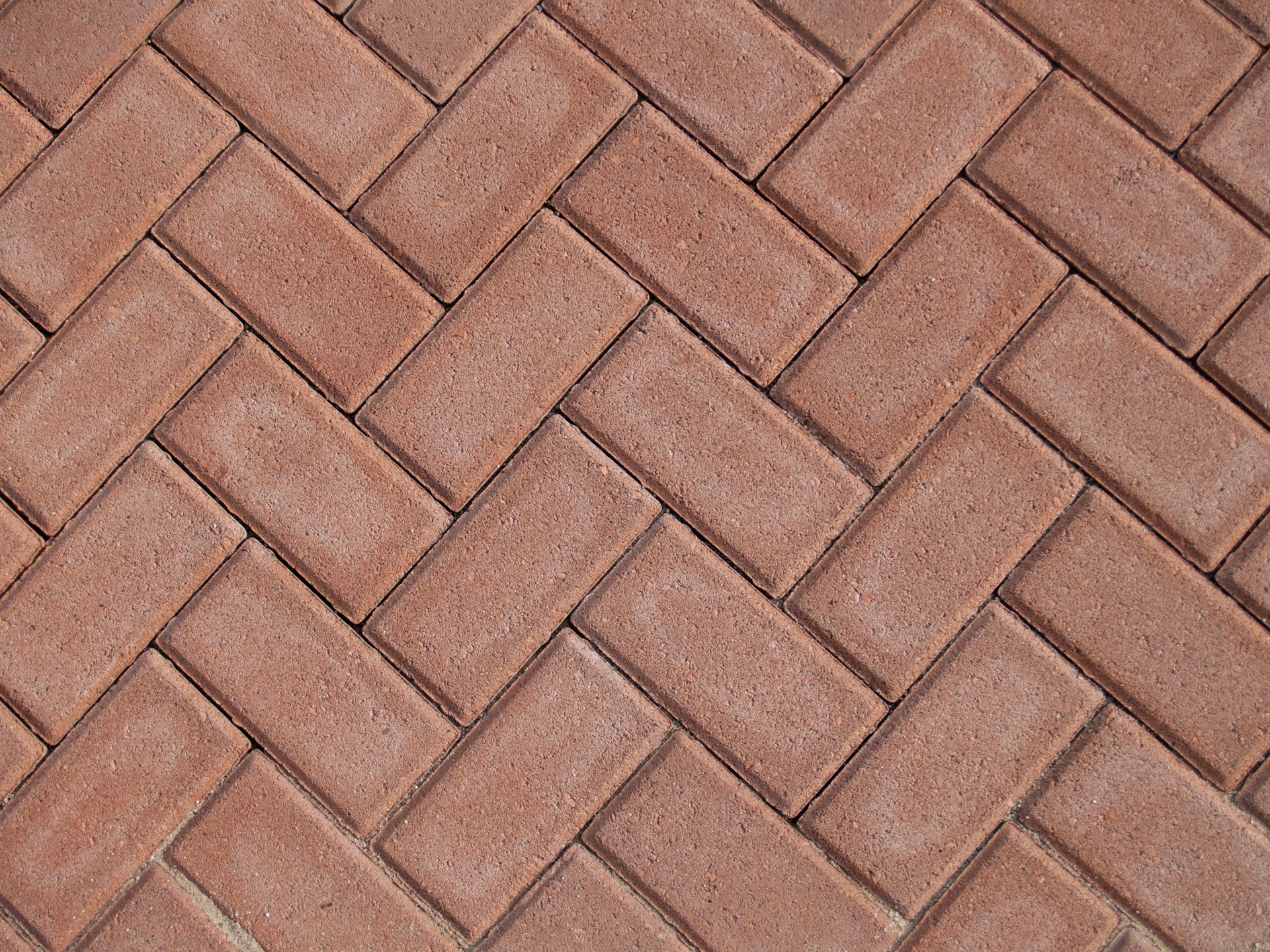 Paver