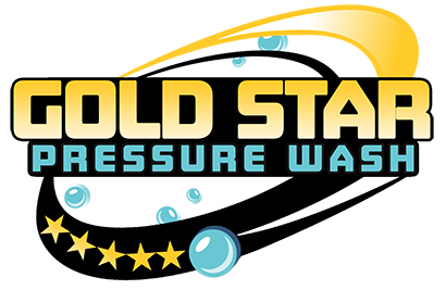 Professional Pressure Washing Logo 2