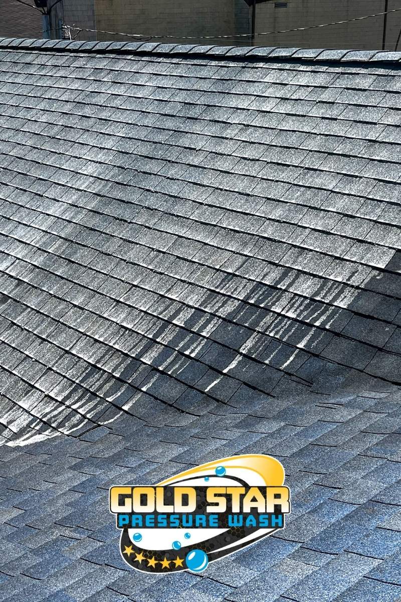 roof after a professional cleaning