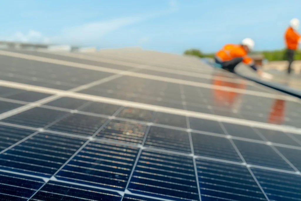 Professional Solar Panel Cleaning services in Roslyn
