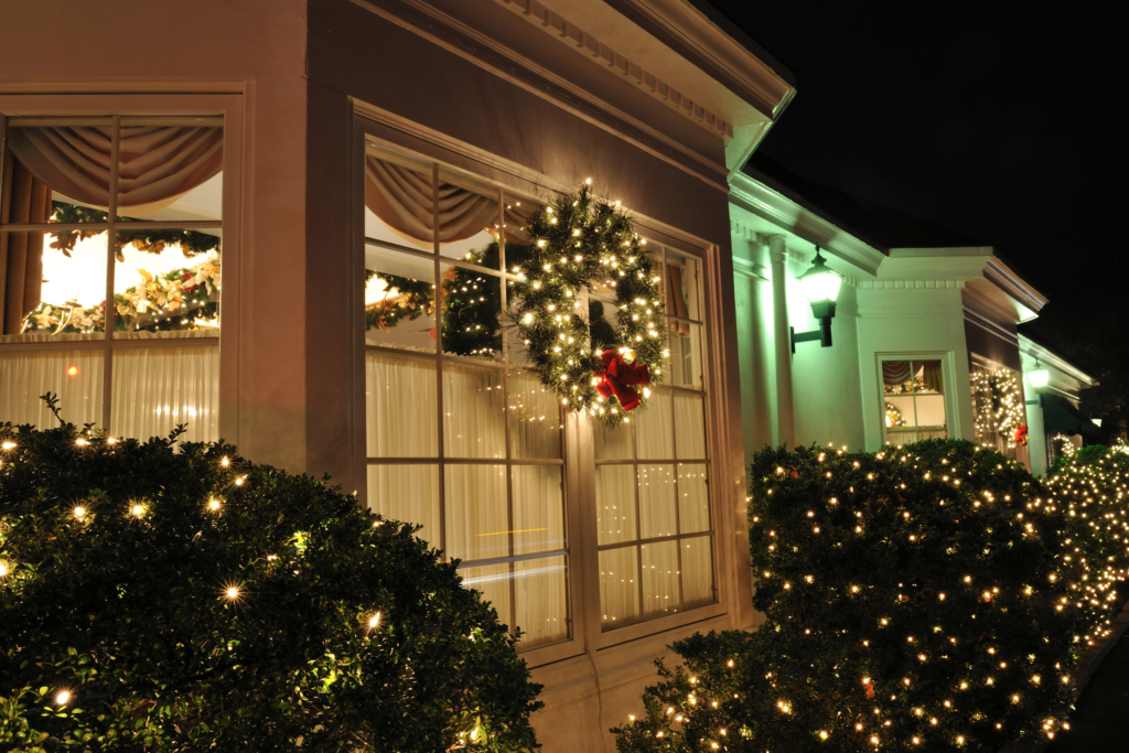 Outdoor & Holiday Lighting Installation