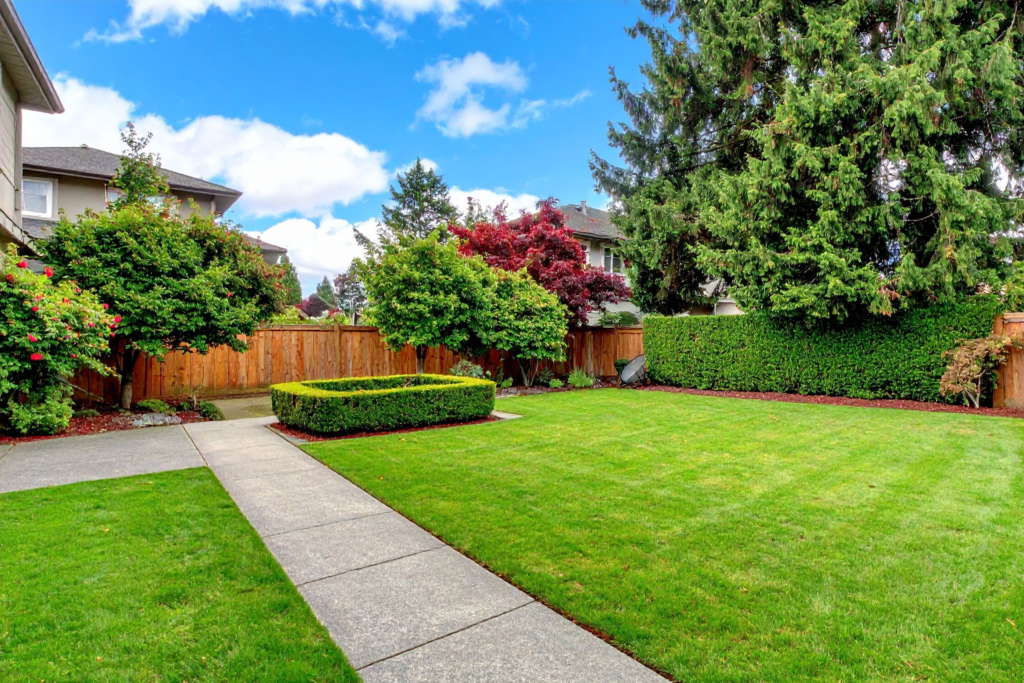 Professional Lawn Painting