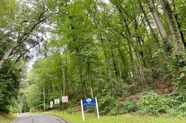 upper